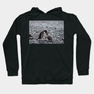 Gentoo penguin and chick at Brown Bluff Hoodie